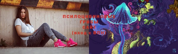 соль ск Верея