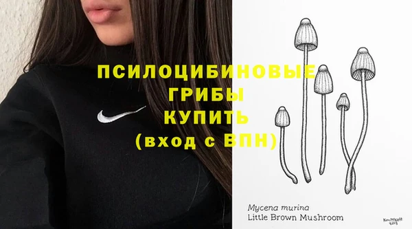 гидропоника Верхний Тагил