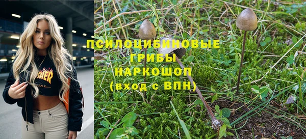 соль ск Верея