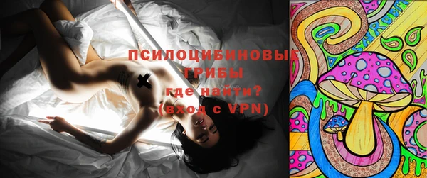 соль ск Верея