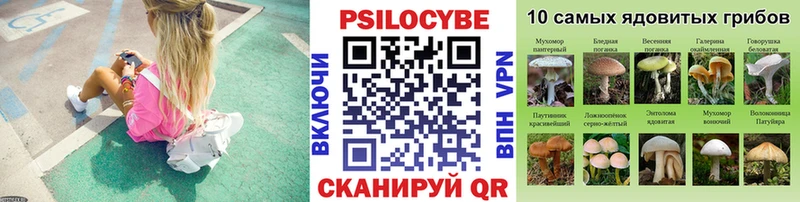 blacksprut ссылки Афипский Псилоцибиновые грибы GOLDEN TEACHER